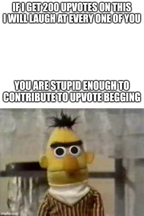 I'm dead serious. You'd be an idiot to upvote a beggar | IF I GET 200 UPVOTES ON THIS
I WILL LAUGH AT EVERY ONE OF YOU; YOU ARE STUPID ENOUGH TO CONTRIBUTE TO UPVOTE BEGGING | image tagged in bert stare,bruh | made w/ Imgflip meme maker