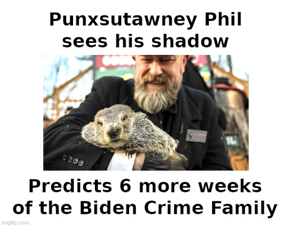 Punxsutawney Phil Sees His Shadow | image tagged in punxsutawney phil,pennsylvania,penn biden center,china,biden crime family,show me the money | made w/ Imgflip meme maker