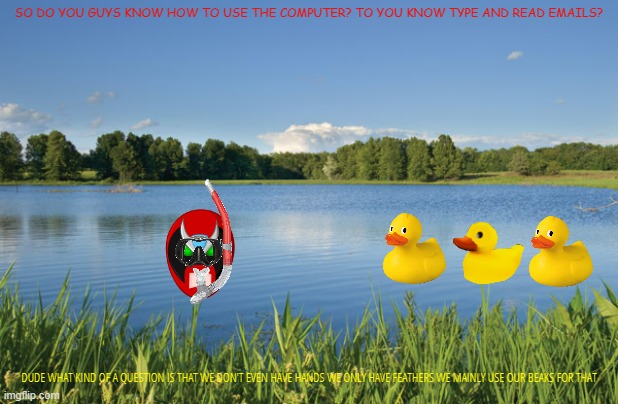 strong bad hanging out with rubber ducks | SO DO YOU GUYS KNOW HOW TO USE THE COMPUTER? TO YOU KNOW TYPE AND READ EMAILS? DUDE WHAT KIND OF A QUESTION IS THAT WE DON'T EVEN HAVE HANDS WE ONLY HAVE FEATHERS WE MAINLY USE OUR BEAKS FOR THAT | image tagged in forden pond,strong bad,rubber ducks | made w/ Imgflip meme maker