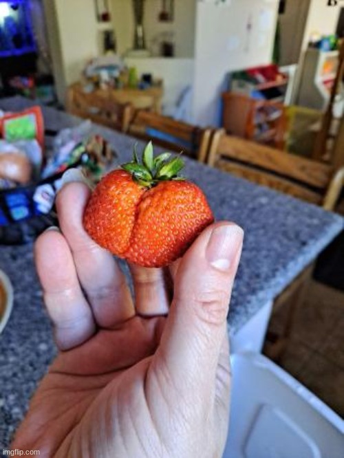 ass berry lmao (don't mind my mom's hand) | made w/ Imgflip meme maker