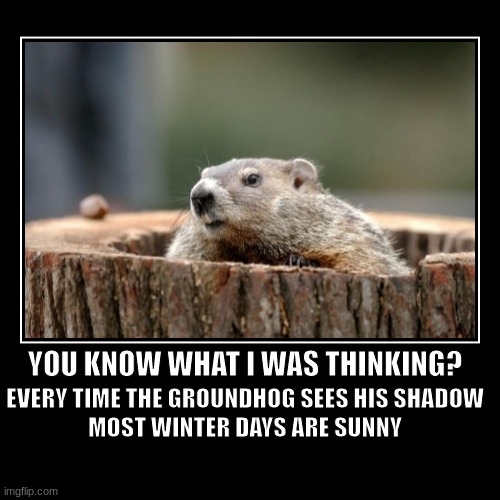 2023 is definitely having a good winter | image tagged in funny,demotivationals,groundhog day | made w/ Imgflip demotivational maker