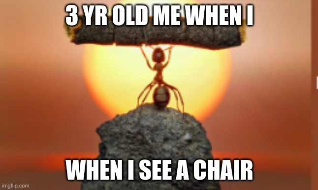 stronk bug | 3 YR OLD ME WHEN I; WHEN I SEE A CHAIR | image tagged in stronk bug | made w/ Imgflip meme maker