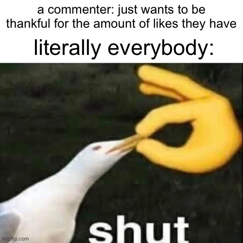 please | a commenter: just wants to be thankful for the amount of likes they have; literally everybody: | image tagged in shut,youtube,youtube comments | made w/ Imgflip meme maker