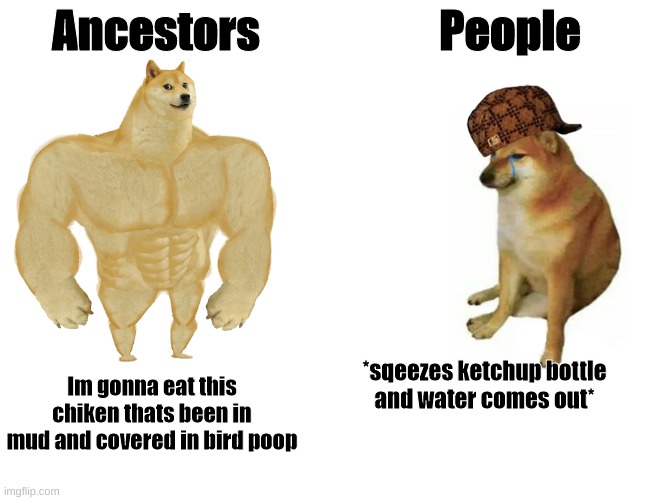 Buff Doge vs. Cheems | Ancestors; People; *sqeezes ketchup bottle and water comes out*; Im gonna eat this chiken thats been in mud and covered in bird poop | image tagged in memes,buff doge vs cheems | made w/ Imgflip meme maker