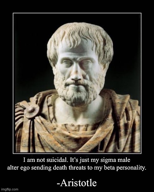You don’t get it bro, I don’t have a mental illness, I’m an ultra sigma based megatrad schizo Christian male that is just like S | I am not suicidal. It’s just my sigma male alter ego sending death threats to my beta personality. | image tagged in -aristotle | made w/ Imgflip meme maker
