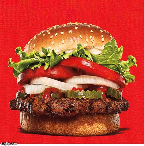 Whopper | image tagged in fun | made w/ Imgflip meme maker