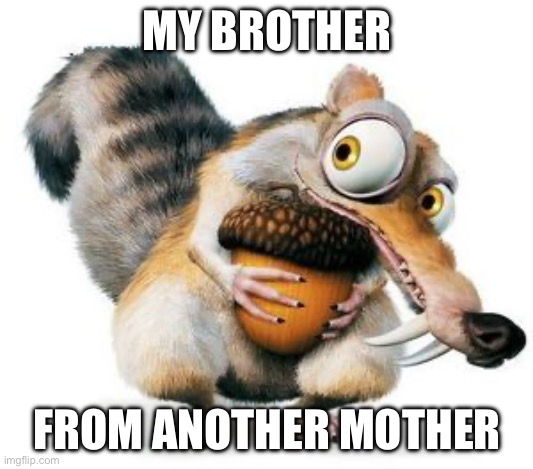 scrat weekend ice age | MY BROTHER FROM ANOTHER MOTHER | image tagged in scrat weekend ice age | made w/ Imgflip meme maker