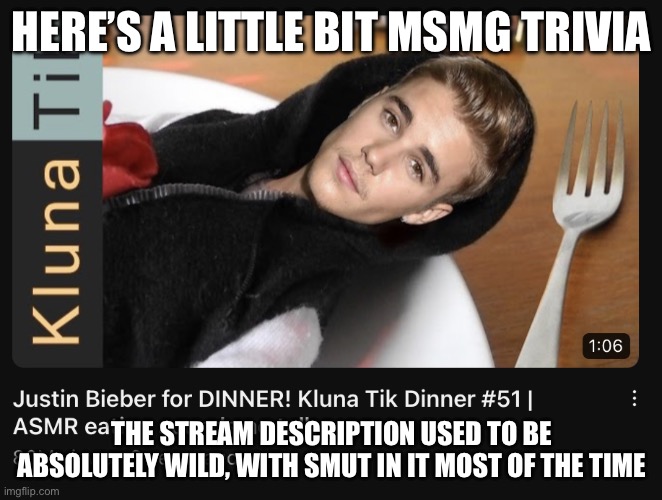This was back when almost everyone was an owner | HERE’S A LITTLE BIT MSMG TRIVIA; THE STREAM DESCRIPTION USED TO BE ABSOLUTELY WILD, WITH SMUT IN IT MOST OF THE TIME | image tagged in justin bieber for dinner | made w/ Imgflip meme maker