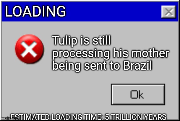 Windows Error Message | LOADING Tulip is still processing his mother being sent to Brazil ESTIMATED LOADING TIME: 5 TRILLION YEARS | image tagged in windows error message | made w/ Imgflip meme maker