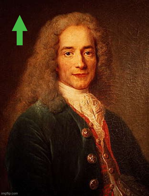 Voltaire | image tagged in voltaire | made w/ Imgflip meme maker