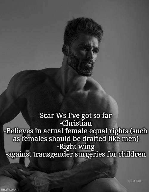 Giga Chad | Scar Ws I've got so far
-Christian
-Believes in actual female equal rights (such as females should be drafted like men)
-Right wing
-against transgender surgeries for children | image tagged in giga chad | made w/ Imgflip meme maker