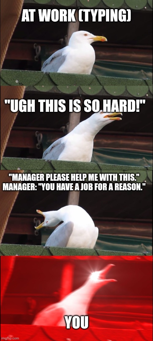 Inhaling Seagull Meme | AT WORK (TYPING); "UGH THIS IS SO HARD!"; "MANAGER PLEASE HELP ME WITH THIS." MANAGER: "YOU HAVE A JOB FOR A REASON."; YOU | image tagged in memes,inhaling seagull | made w/ Imgflip meme maker