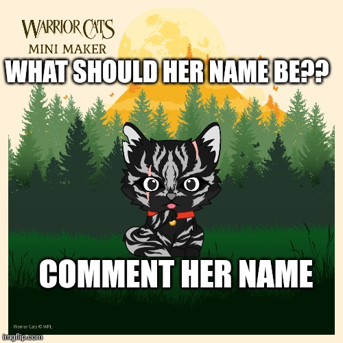 WHAT SHOULD HER NAME BE?? COMMENT HER NAME | image tagged in warrior cats | made w/ Imgflip meme maker