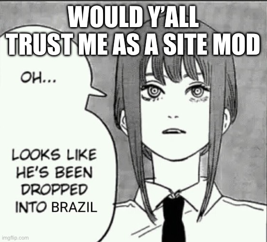 prolly not tbh i’ve got a pretty bad reputation | WOULD Y’ALL TRUST ME AS A SITE MOD | image tagged in maxima brazil | made w/ Imgflip meme maker