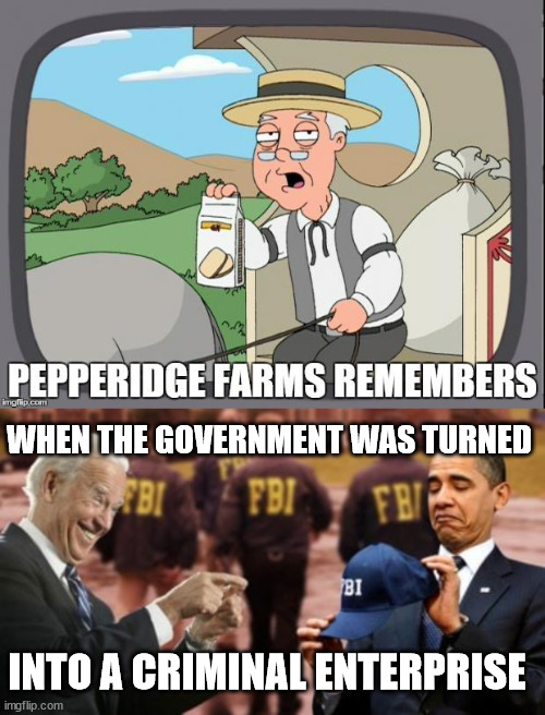 Pepperidge farm remembers when the government became the envy of organized crime... | WHEN THE GOVERNMENT WAS TURNED; INTO A CRIMINAL ENTERPRISE | image tagged in pepperidge farms remembers,criminal,government | made w/ Imgflip meme maker