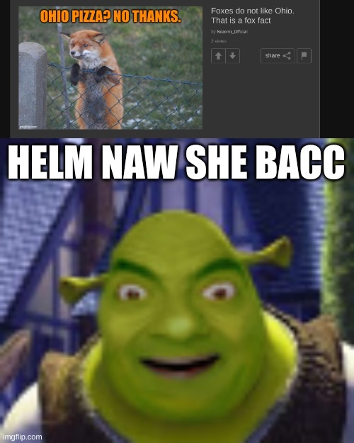 helm naw | HELM NAW SHE BACC | image tagged in mr bean shrek | made w/ Imgflip meme maker