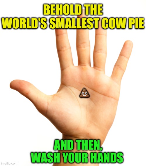 BEHOLD THE WORLD’S SMALLEST COW PIE AND THEN, WASH YOUR HANDS ? | made w/ Imgflip meme maker