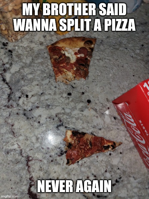 Y | MY BROTHER SAID WANNA SPLIT A PIZZA; NEVER AGAIN | image tagged in you had one job,task failed successfully,failure | made w/ Imgflip meme maker