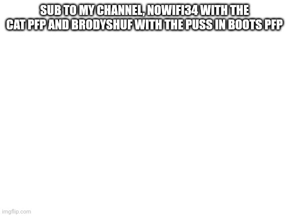 Pls sub | SUB TO MY CHANNEL, NOWIFI34 WITH THE CAT PFP AND BRODYSHUF WITH THE PUSS IN BOOTS PFP | image tagged in blank white template,youtube | made w/ Imgflip meme maker