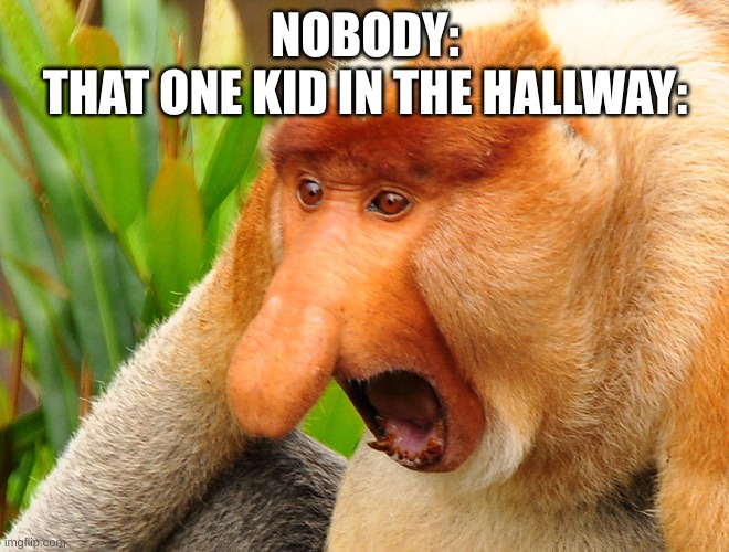 Janusz monkey screaming | NOBODY:
THAT ONE KID IN THE HALLWAY: | image tagged in janusz monkey screaming | made w/ Imgflip meme maker