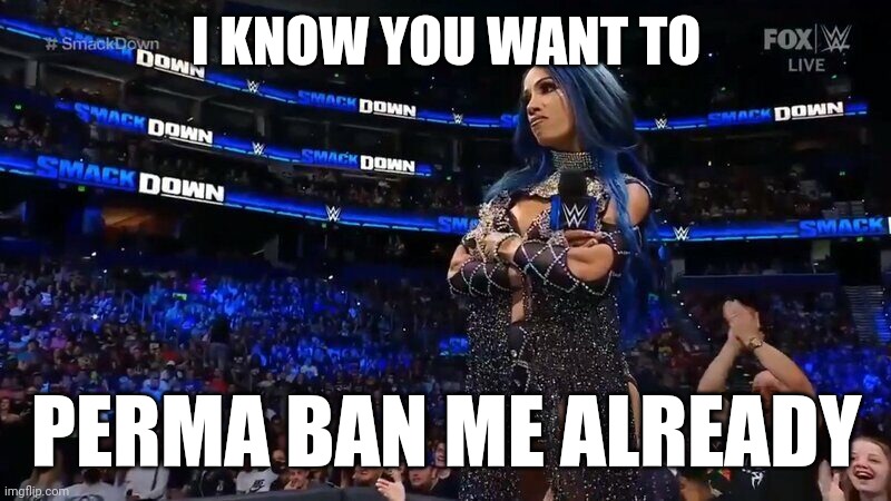 Sasha Banks Annoyed | I KNOW YOU WANT TO; PERMA BAN ME ALREADY | image tagged in sasha banks annoyed | made w/ Imgflip meme maker