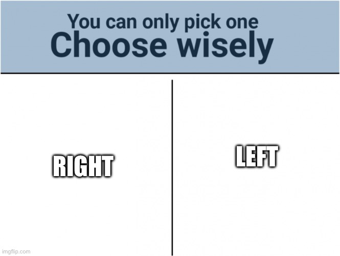 you can pick only one choose wisely | LEFT RIGHT | image tagged in you can pick only one choose wisely | made w/ Imgflip meme maker