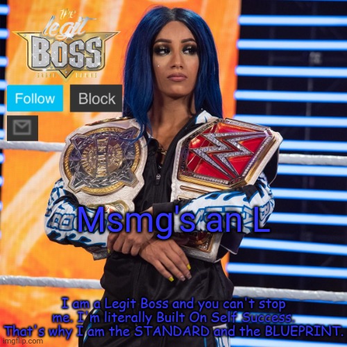 (bh: but you still choose to post here. Gn) (Ryn: you knew the rules; your fucking fault)(Pyro: what ryn said) (rotis: leave) | Msmg's an L | image tagged in sasha banks template v2 | made w/ Imgflip meme maker