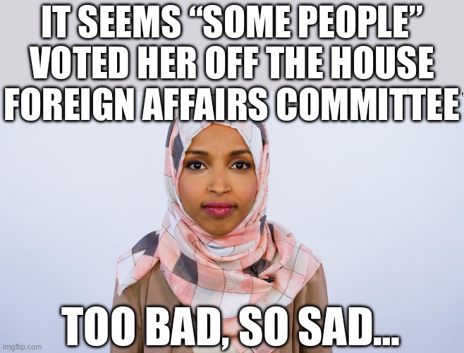 Ilhan Omar |  IT SEEMS “SOME PEOPLE” VOTED HER OFF THE HOUSE FOREIGN AFFAIRS COMMITTEE; TOO BAD, SO SAD… | image tagged in ilhan omar | made w/ Imgflip meme maker
