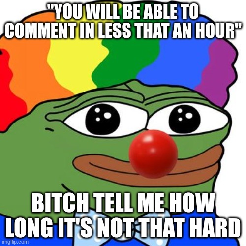 yes, im still cbanned | "YOU WILL BE ABLE TO COMMENT IN LESS THAT AN HOUR"; BITCH TELL ME HOW LONG IT'S NOT THAT HARD | image tagged in honk honkler | made w/ Imgflip meme maker