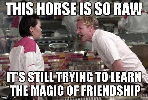 Angry Chef Gordon Ramsay | THIS HORSE IS SO RAW IT'S STILL TRYING TO LEARN THE MAGIC OF FRIENDSHIP | image tagged in memes,angry chef gordon ramsay | made w/ Imgflip meme maker