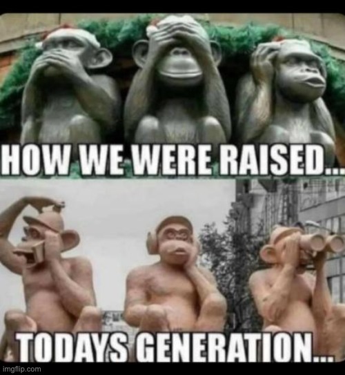 image tagged in repost,memes,monkey,monkeys,funny,generation | made w/ Imgflip meme maker