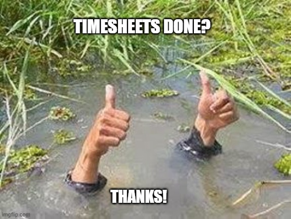 flooding timesheet reminder | TIMESHEETS DONE? THANKS! | image tagged in flooding thumbs up,timesheet reminder,timesheet meme | made w/ Imgflip meme maker