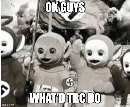 nazi teletubbies | OK GUYS; WHAT'D TRC DO | image tagged in nazi teletubbies | made w/ Imgflip meme maker