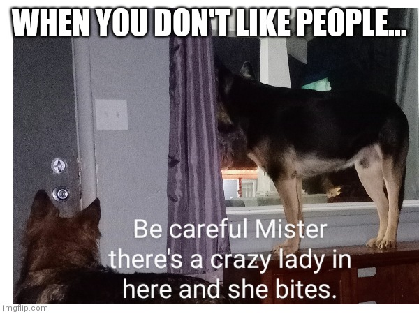 When you don't like people... | WHEN YOU DON'T LIKE PEOPLE... | image tagged in humor,dark humor,funny dogs,dogs,protection | made w/ Imgflip meme maker