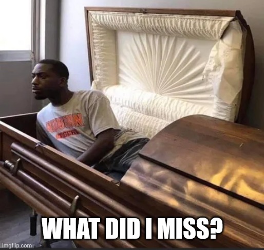 Coffin | WHAT DID I MISS? | image tagged in coffin | made w/ Imgflip meme maker