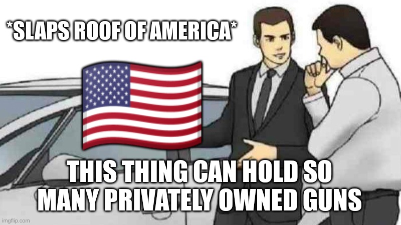 Continuing... | *SLAPS ROOF OF AMERICA*; 🇺🇸; THIS THING CAN HOLD SO MANY PRIVATELY OWNED GUNS | image tagged in memes,car salesman slaps roof of car | made w/ Imgflip meme maker