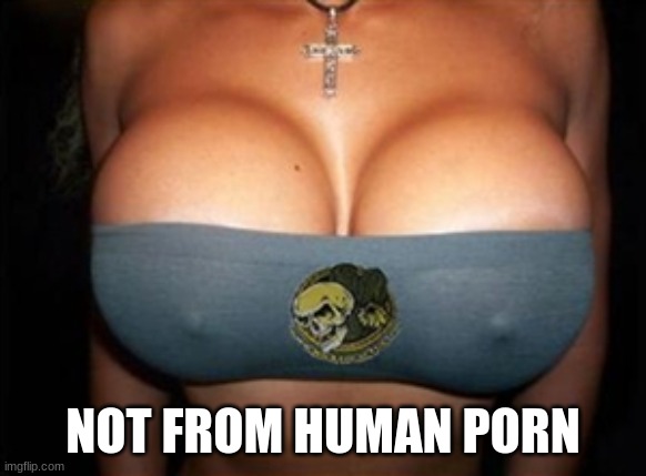 big boobs | NOT FROM HUMAN PORN | image tagged in big boobs | made w/ Imgflip meme maker