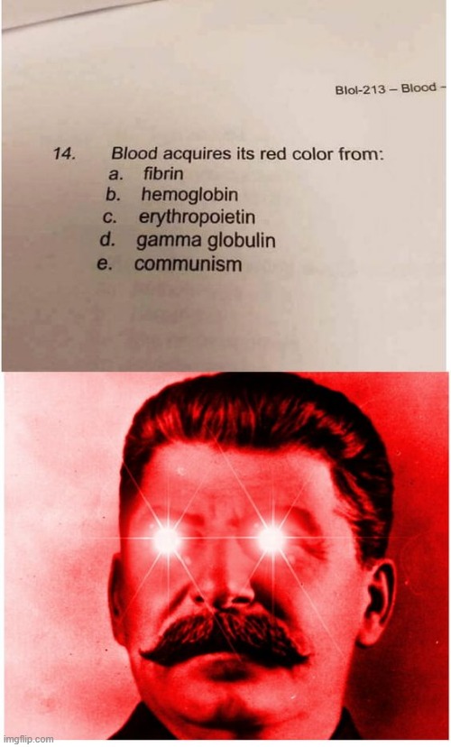 image tagged in communism,memes,funny,joseph stalin,questions,stalin | made w/ Imgflip meme maker