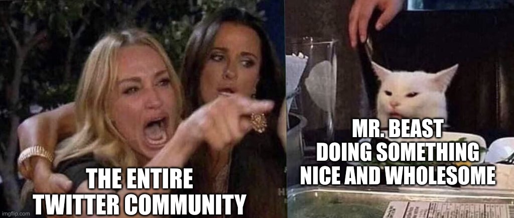In my opinion, there's nothing wrong with curing blind people. | MR. BEAST DOING SOMETHING NICE AND WHOLESOME; THE ENTIRE TWITTER COMMUNITY | image tagged in mr beast,true story,twitter,memes,woman yelling at cat | made w/ Imgflip meme maker