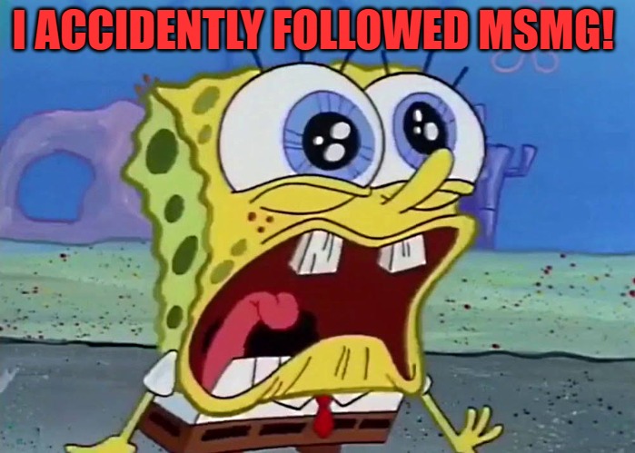 I ACCIDENTLY FOLLOWED MSMG! | image tagged in spongebob | made w/ Imgflip meme maker