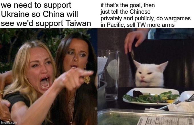 sounds like invading Iraq to show Iran, remember that one |  we need to support Ukraine so China will see we'd support Taiwan; if that's the goal, then just tell the Chinese privately and publicly, do wargames in Pacific, sell TW more arms | image tagged in memes,woman yelling at cat | made w/ Imgflip meme maker