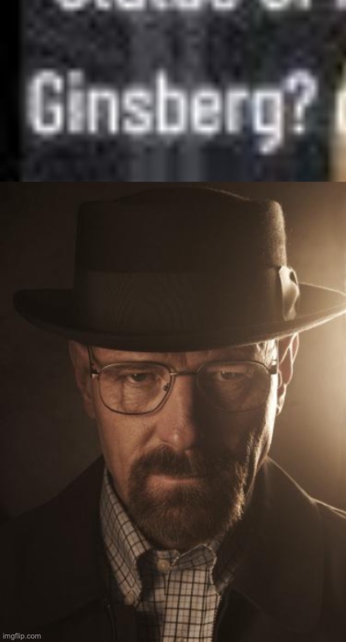 image tagged in walter white | made w/ Imgflip meme maker