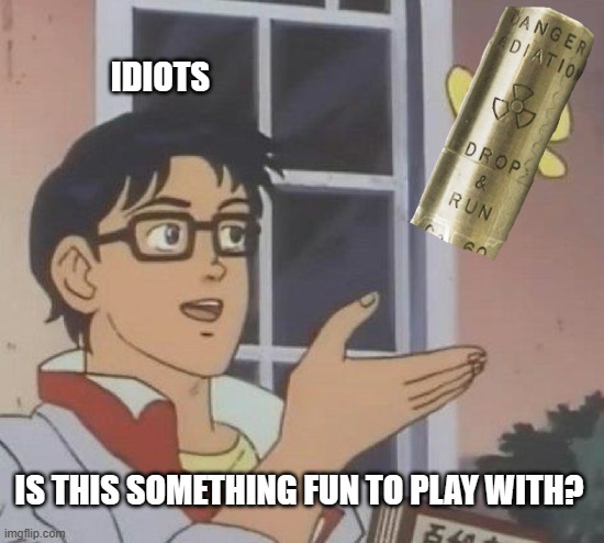 Take My Meme and Like It MS | IDIOTS; IS THIS SOMETHING FUN TO PLAY WITH? | image tagged in memes | made w/ Imgflip meme maker