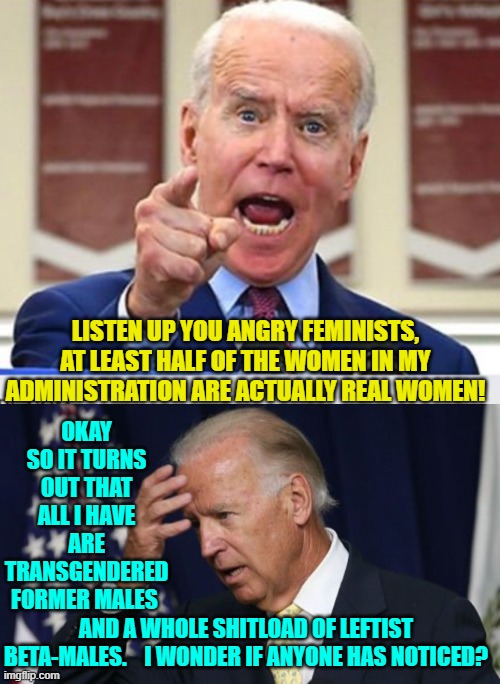 Probably closer to the truth than it SHOULD be. | OKAY SO IT TURNS OUT THAT ALL I HAVE ARE TRANSGENDERED FORMER MALES; LISTEN UP YOU ANGRY FEMINISTS, AT LEAST HALF OF THE WOMEN IN MY ADMINISTRATION ARE ACTUALLY REAL WOMEN! AND A WHOLE SHITLOAD OF LEFTIST BETA-MALES.    I WONDER IF ANYONE HAS NOTICED? | image tagged in so it goes | made w/ Imgflip meme maker