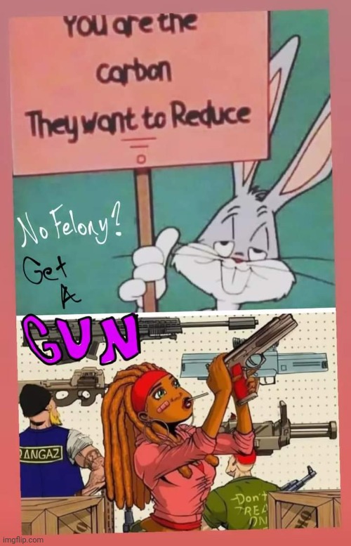 Bugs Ain't No Dummy | image tagged in warner bros,bugs bunny,gun-rights,2nd amendment,america,no-democrats | made w/ Imgflip meme maker