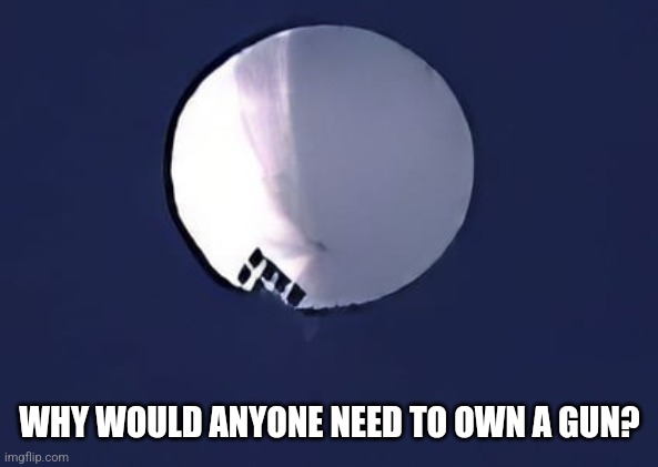 WHY WOULD ANYONE NEED TO OWN A GUN? | image tagged in funny memes | made w/ Imgflip meme maker