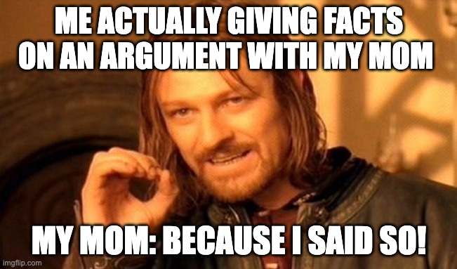 This actually happend to me | ME ACTUALLY GIVING FACTS ON AN ARGUMENT WITH MY MOM; MY MOM: BECAUSE I SAID SO! | image tagged in memes,one does not simply | made w/ Imgflip meme maker