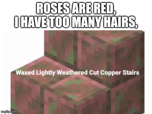 L O N G     B O I | ROSES ARE RED, I HAVE TOO MANY HAIRS, | made w/ Imgflip meme maker