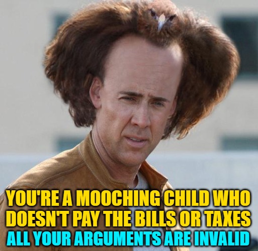 nicholas cage argument invalid | YOU'RE A MOOCHING CHILD WHO DOESN'T PAY THE BILLS OR TAXES ALL YOUR ARGUMENTS ARE INVALID | image tagged in nicholas cage argument invalid | made w/ Imgflip meme maker