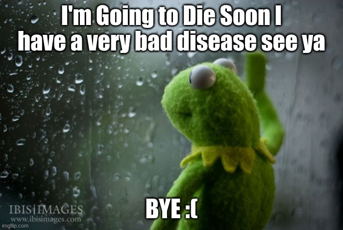 Bye | I'm Going to Die Soon I have a very bad disease see ya; BYE :( | image tagged in kermit window,disease | made w/ Imgflip meme maker